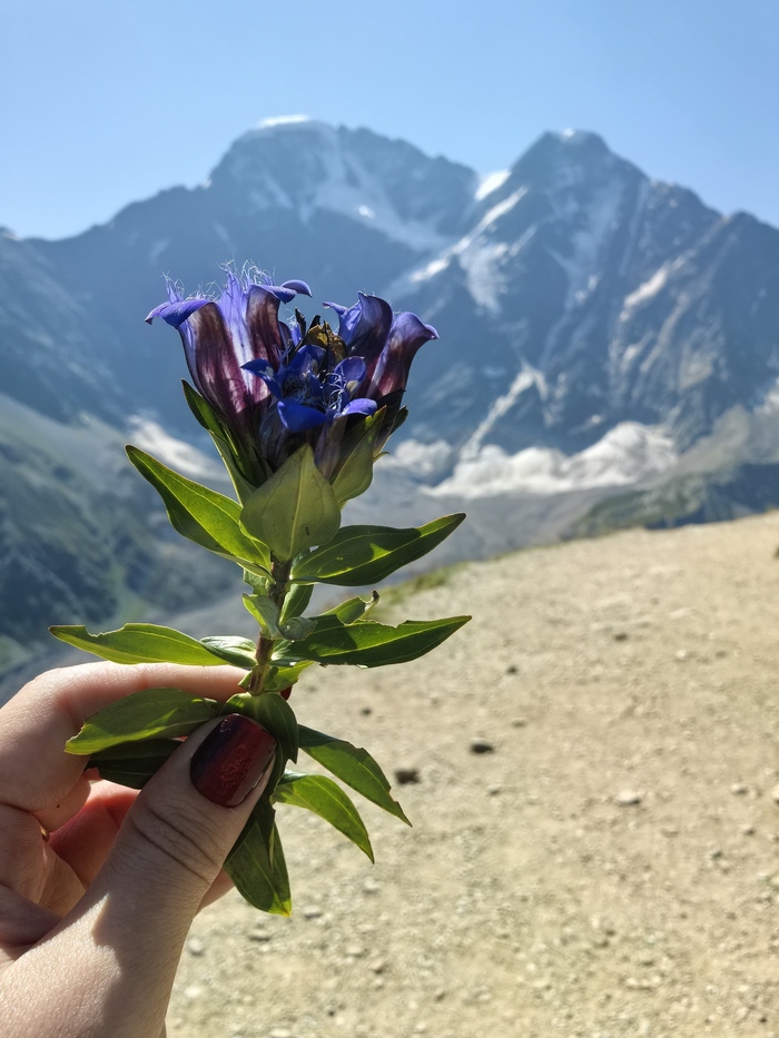 Мой лучший кадр 2025 года