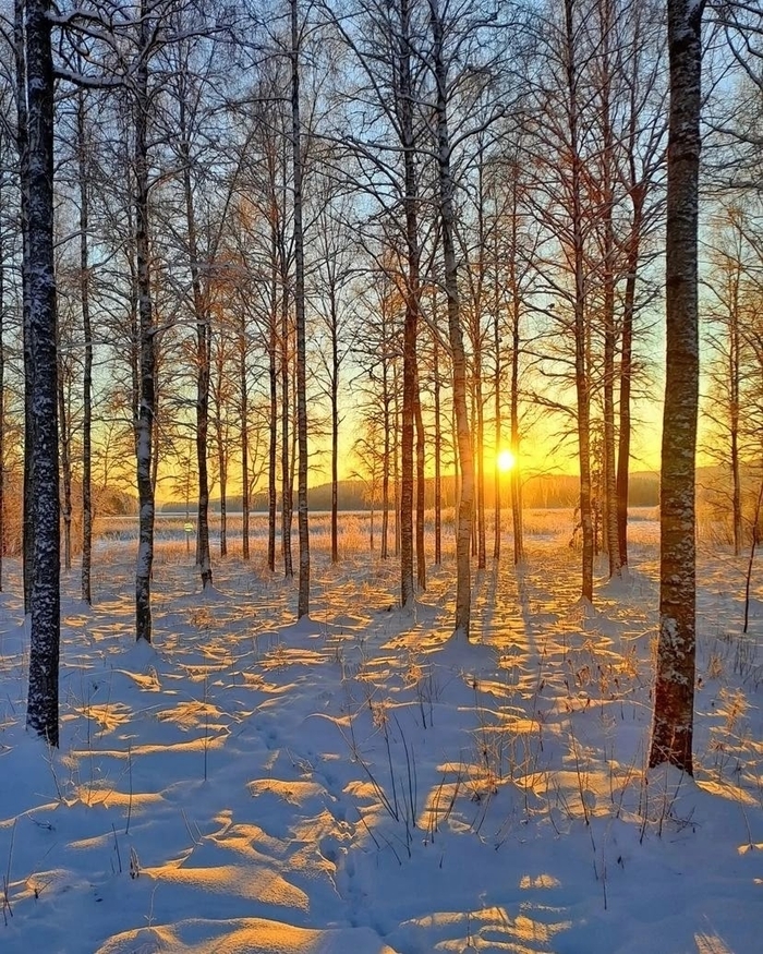 ����� � ����