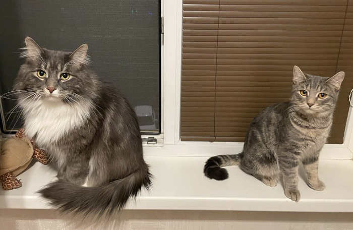 ����� �������� ������-���������