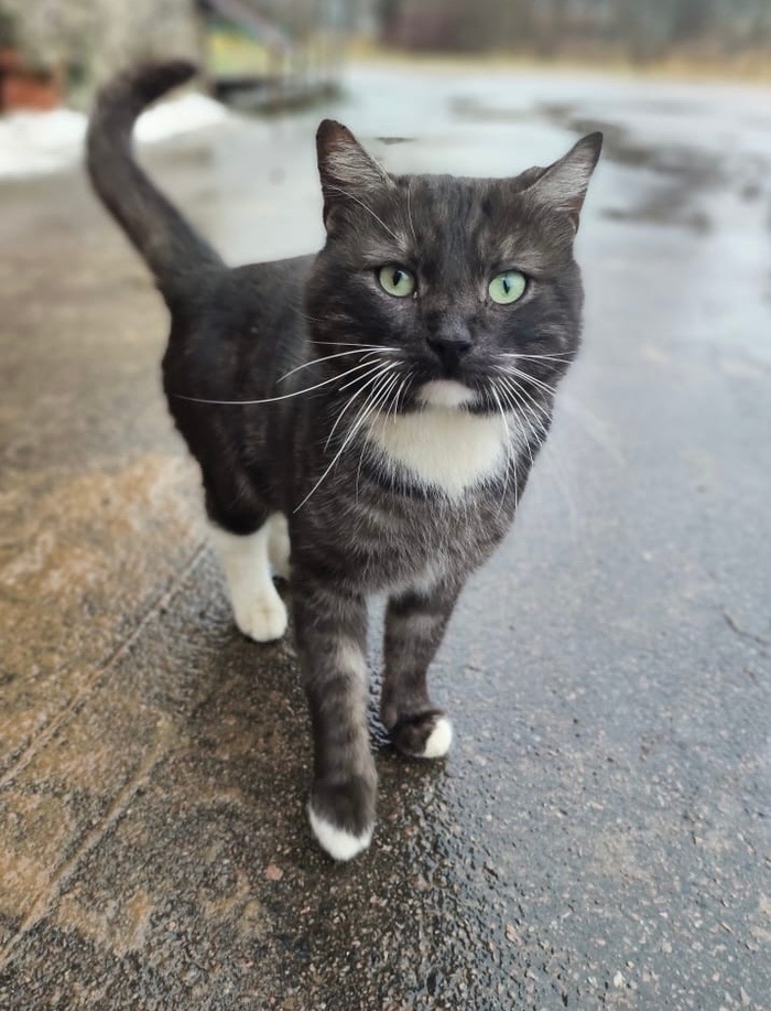 ������������� �����. ����� ���! �����-���������