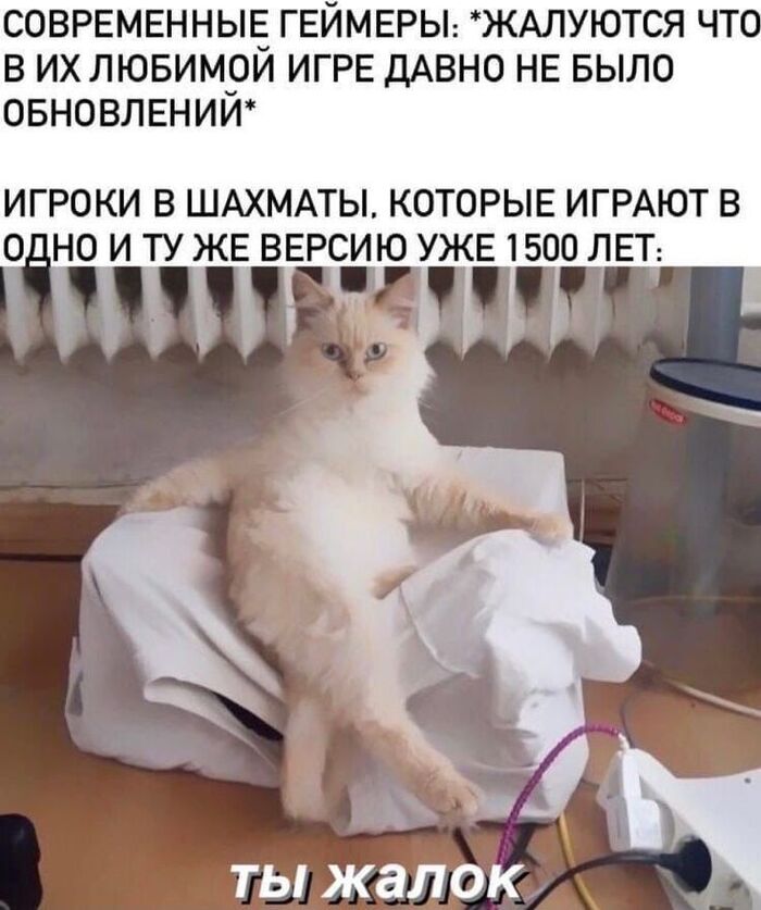 Обнова? Не слышали...