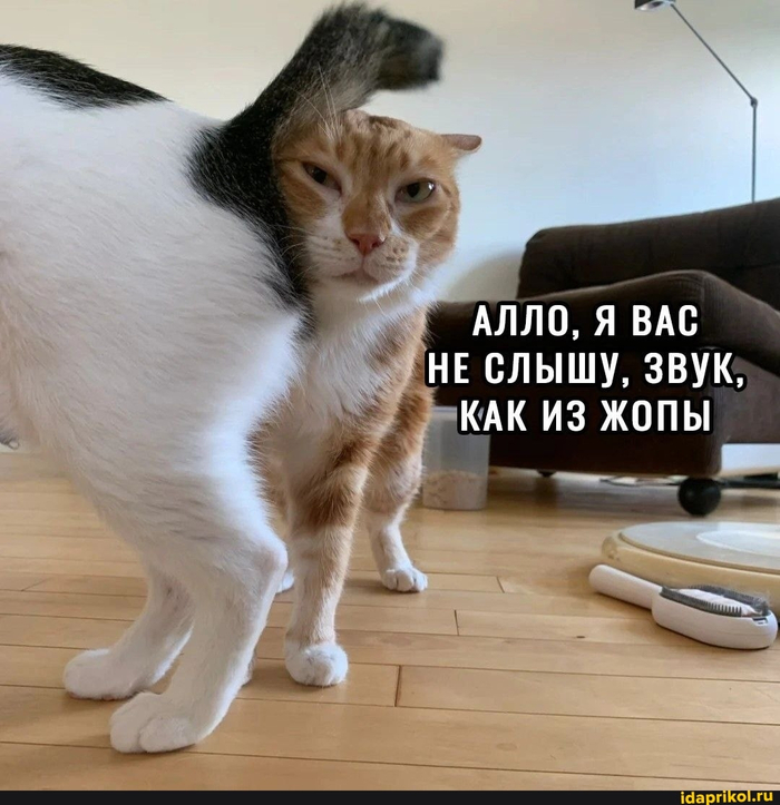 Очень винтажный, доисторический звук