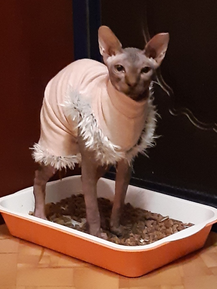 Достали вы со своей волной. Вот вам лучшее фото