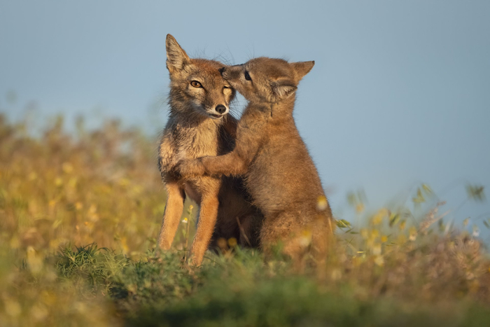 ����: �������� ����� <a href="https://pikabu.ru/story/ponyat_i_prostit_13511836?u=https%3A%2F%2Frtraveler.ru%2Fphoto%2F1480062%2F%3Feditorial_photos%3D1&t=%D0%BE%D1%82%D1%81%D1%8E%D0%B4%D0%B0&h=57856b5cd42d2cdb842bf1a83f09d570b7cdd7a0" title="https://rtraveler.ru/photo/1480062/?editorial_photos=1" target="_blank" rel="nofollow noopener">������</a>