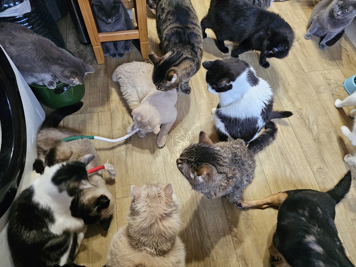 Мой первый пост в Пикабу