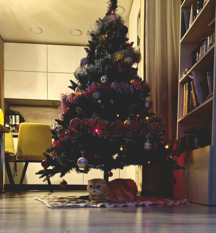 ���������� ���������