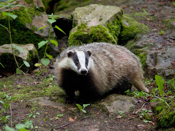 �������, �����, �����. ���������� ����� ����� �� � ����� ����. � ������-����������� ������ �� ����� � �������� ��������� ������. ��� � ���, �� � ������ � ��� ���, ���� ������������ �����!