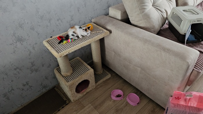 ��� ���� �� ������ ����� �������