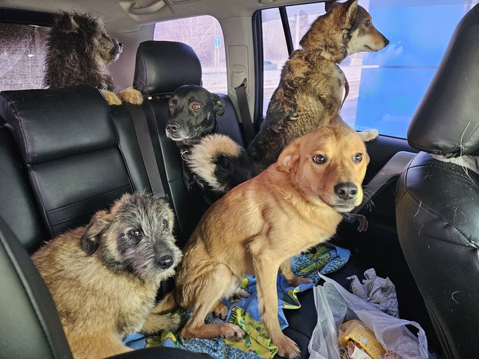 ���� � ������ �� ������������ ������.