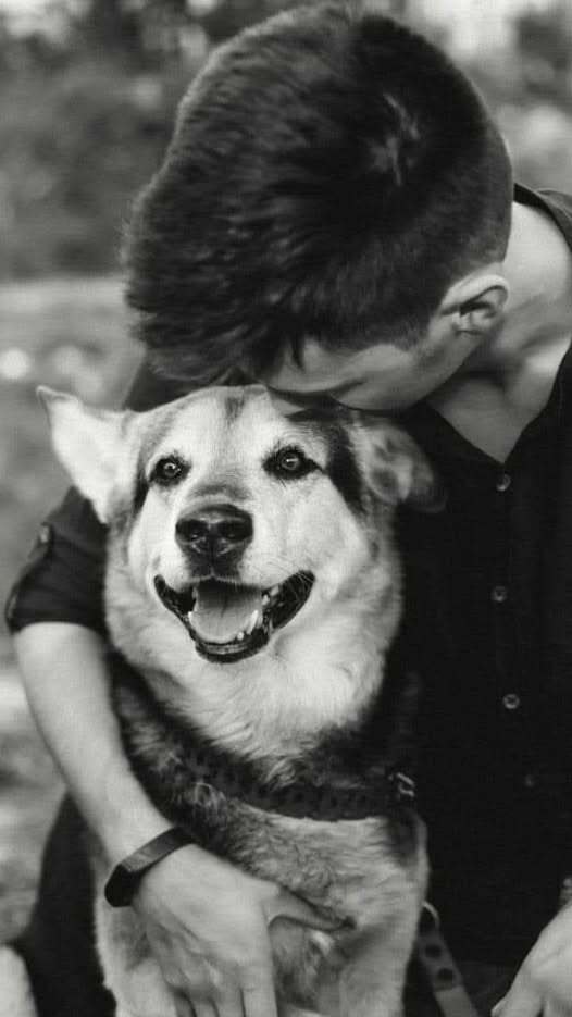 ������� ����