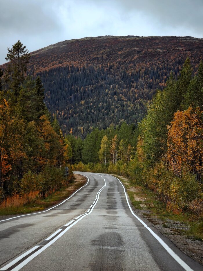 �� ��������, ��������!