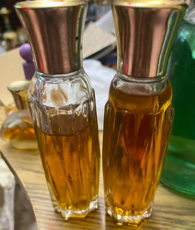 «Зимний лес» и «Новогодняя ночь»