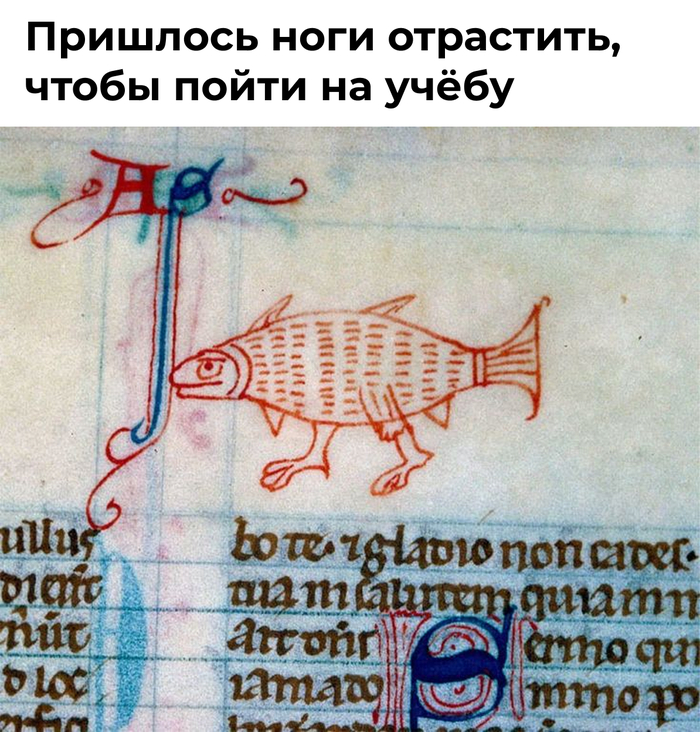 ����������������� � ����� ��������� ����� �� ������-��������� ��� ������ ��������������