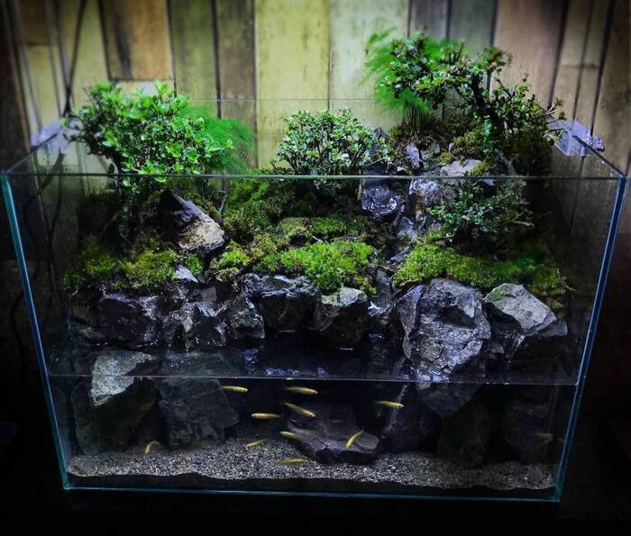 ���������� ������ ������: ��� � ���� ������� ���������� ���, � ������� �� ������ �������� � �� ������ ������