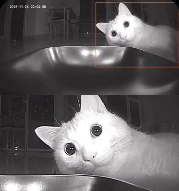 �����, �����������