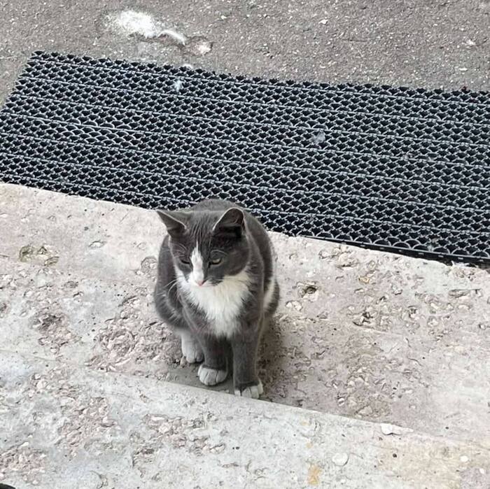 ����� � ������... ��� � ������ ��� ������� ��������...