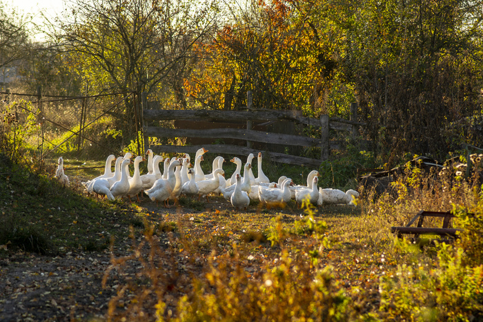 �� ������� ����