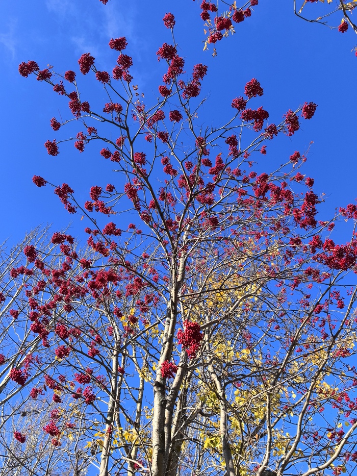 ���� �� ������ ������ 2025