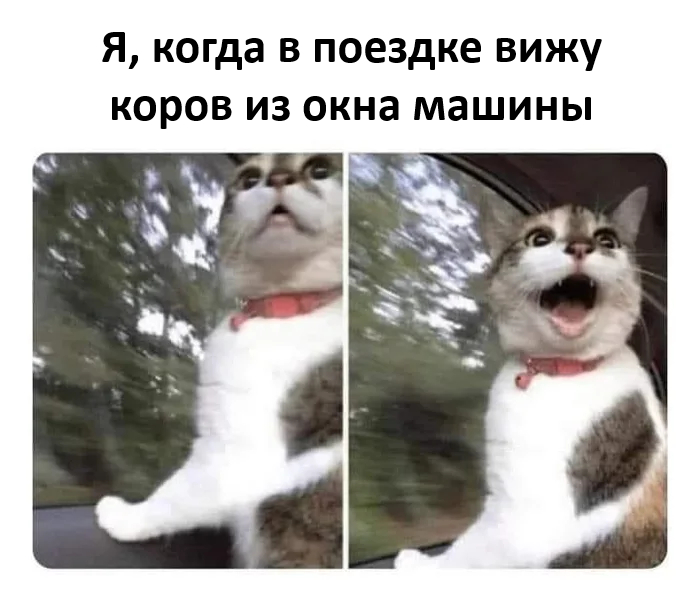 ��������� ������