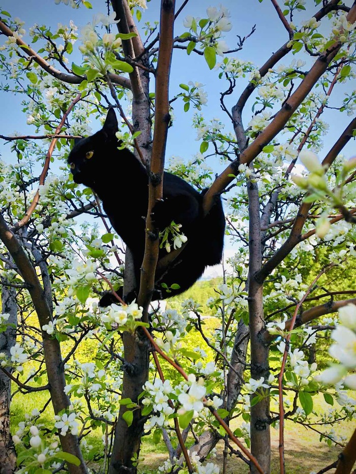 ����� �� ���� ���� ������ ���������� ����