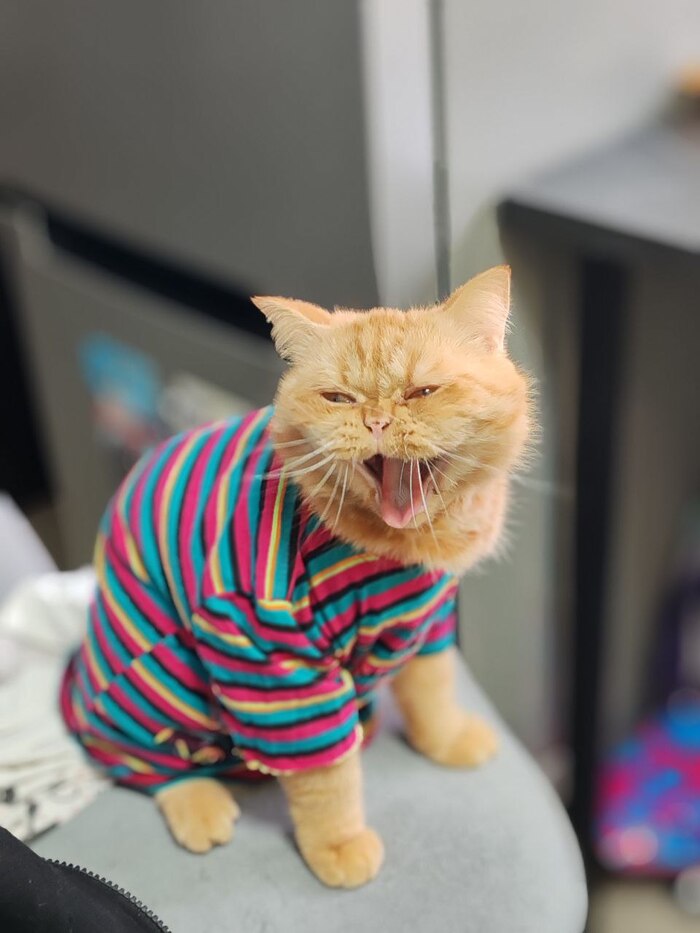 ����� �� ���� ���� ������ ���������� ����