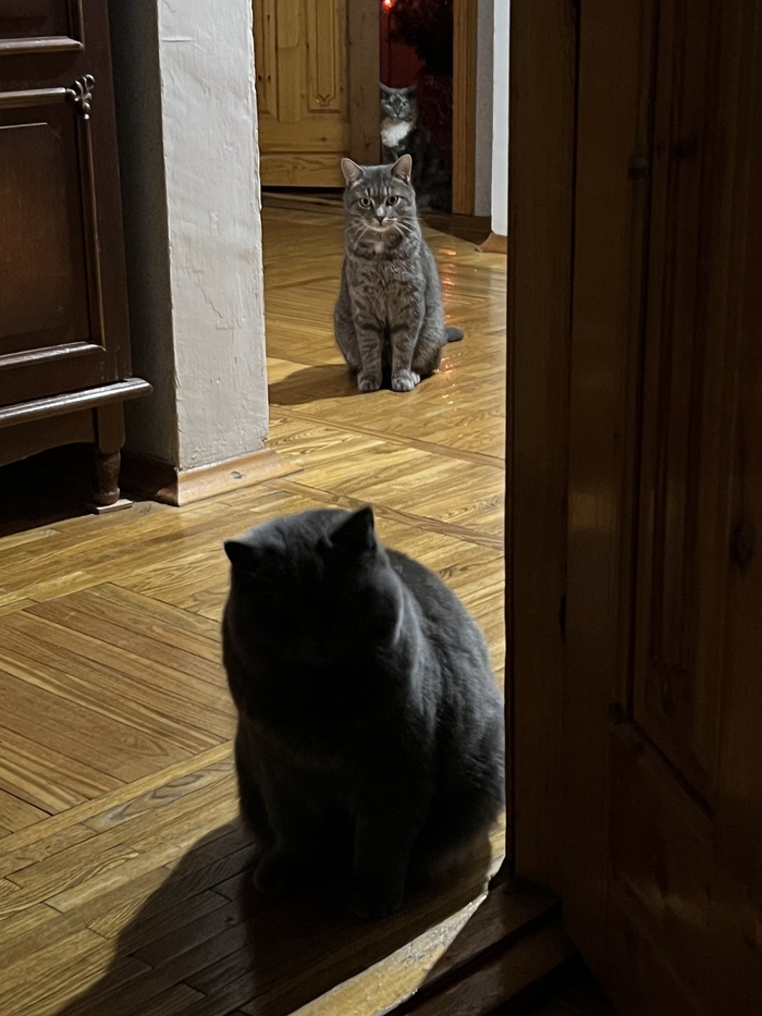 ��� ������ ���� ���� (� ���� �����)