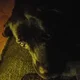 ����� ����� ������ ���� �����������