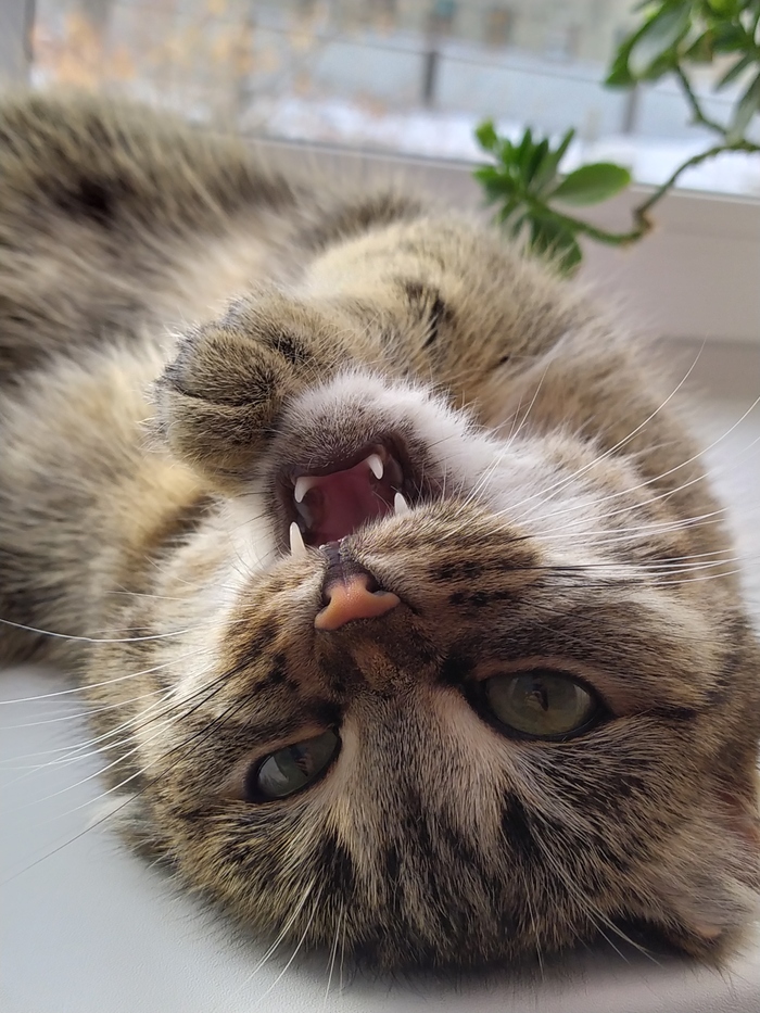 ������ ��������� ������ �������� ��������.