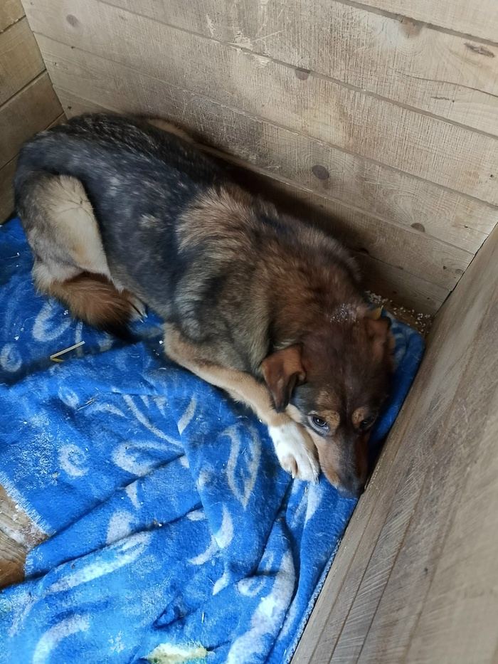 ��� ���������?!!! � ����� �� ����� �����������, 19 (�/� ��������� ����) �.����� ������ ��� ������