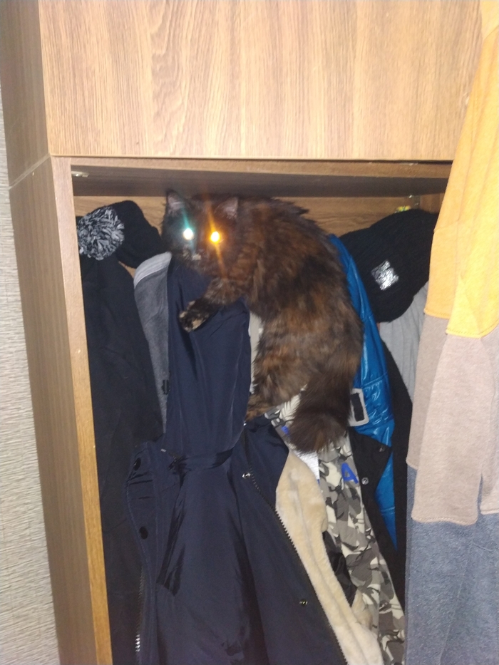 ���� ���� ���� � �����)))))