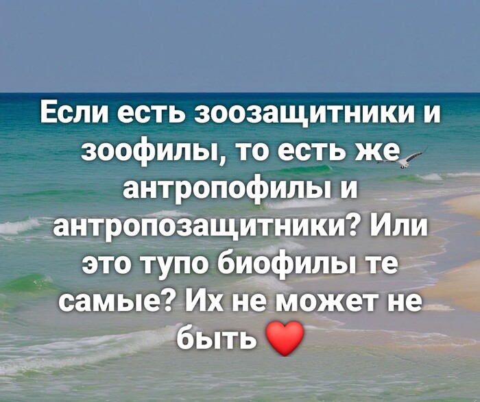 ��� �����, ��� ����� ��������?