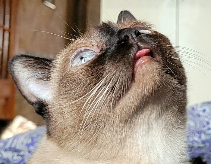 ��� ������ ���������� �����