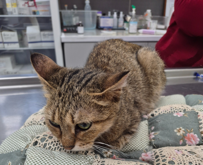 �� ������ � �������