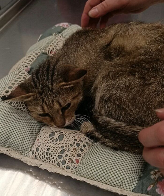 ����� ����� ���� � �������, ��������� ��� ���������� � ������