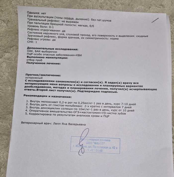 ������� ����������