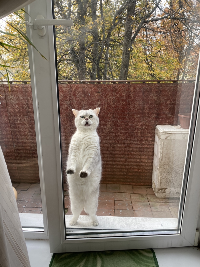 ��� ������ ���������� ����