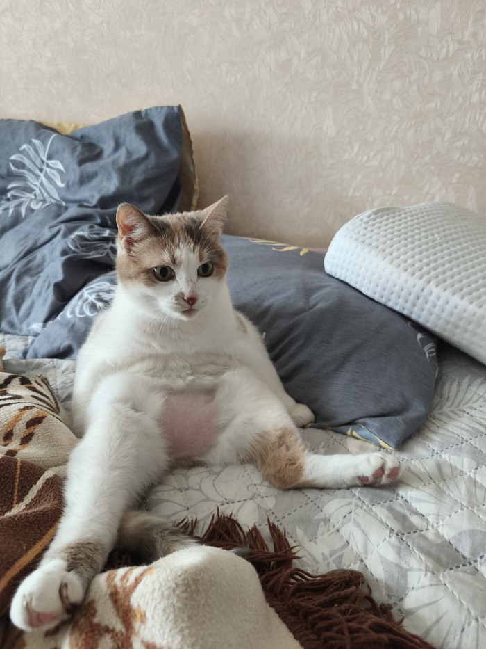 ����� ���� ����)))