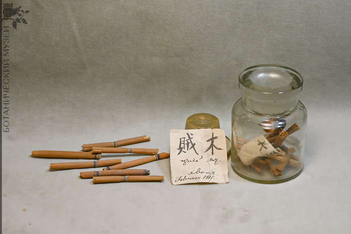 Хвощ зимующий (Equisetum hyemale) – трава, разгоняет жар, устраняет помутнение роговицы, улучшает зрение. Получено от Татаринова А.А. в 1857 г. Коллекция экономической ботаники Ботанического музея БИН РАН.