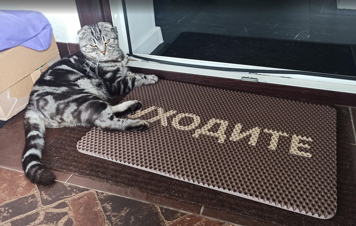 ����� ����������, ��� ������� ���� ���������