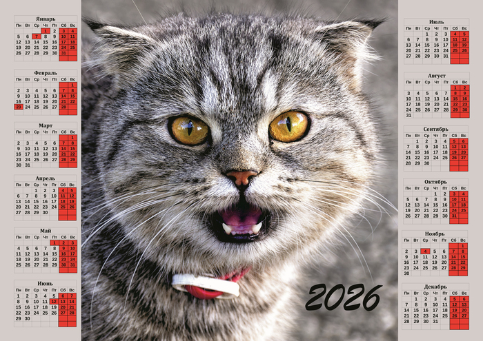 �����-��������� �� 2026 ���