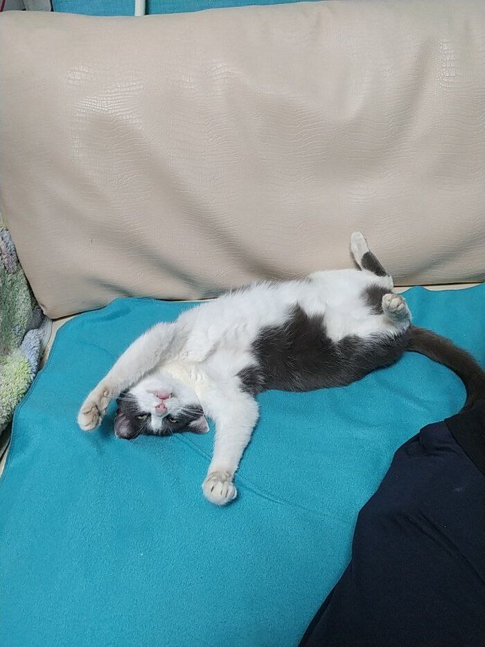 спим очень смешно