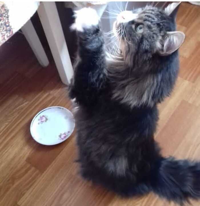 ��� ���������� ����� ������...