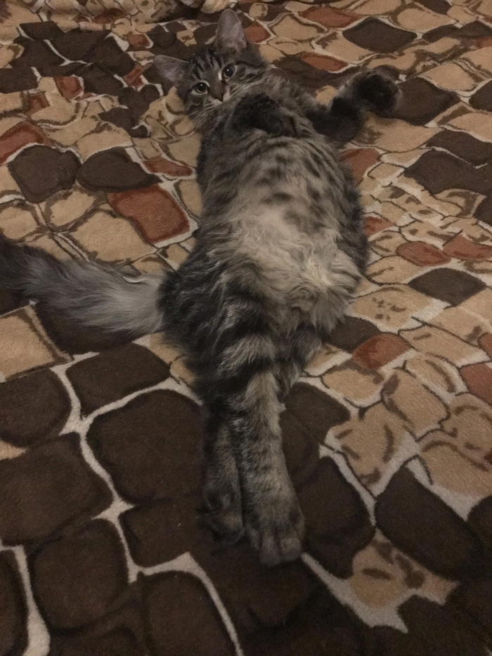 ��� ������ ���� ����