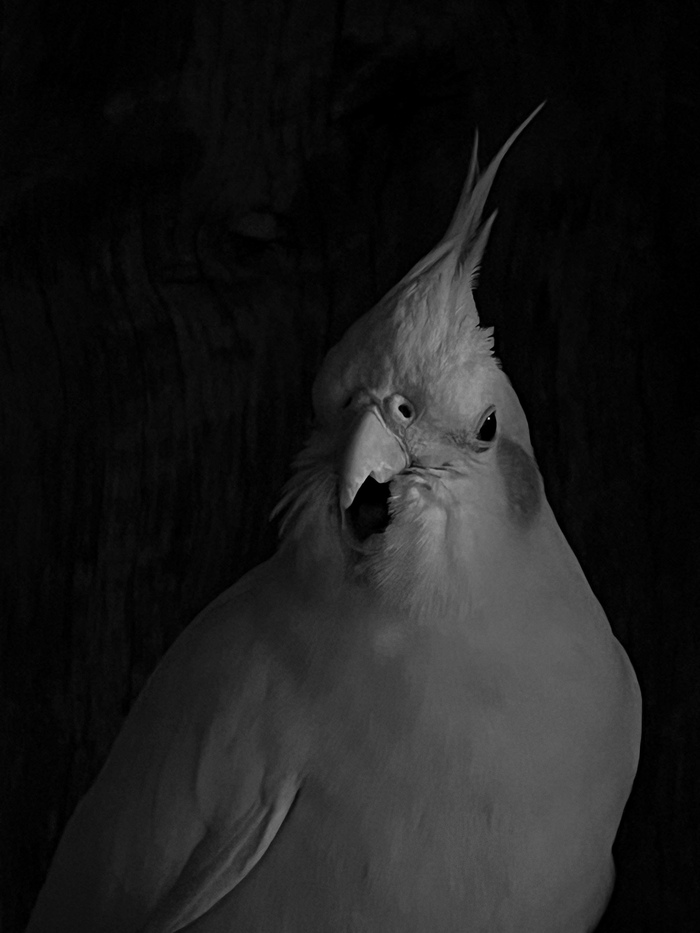 ����� �� ���� ���� ������ ���������� ������. � �� ��� ����, ����... ����-154 � ����� �����...�