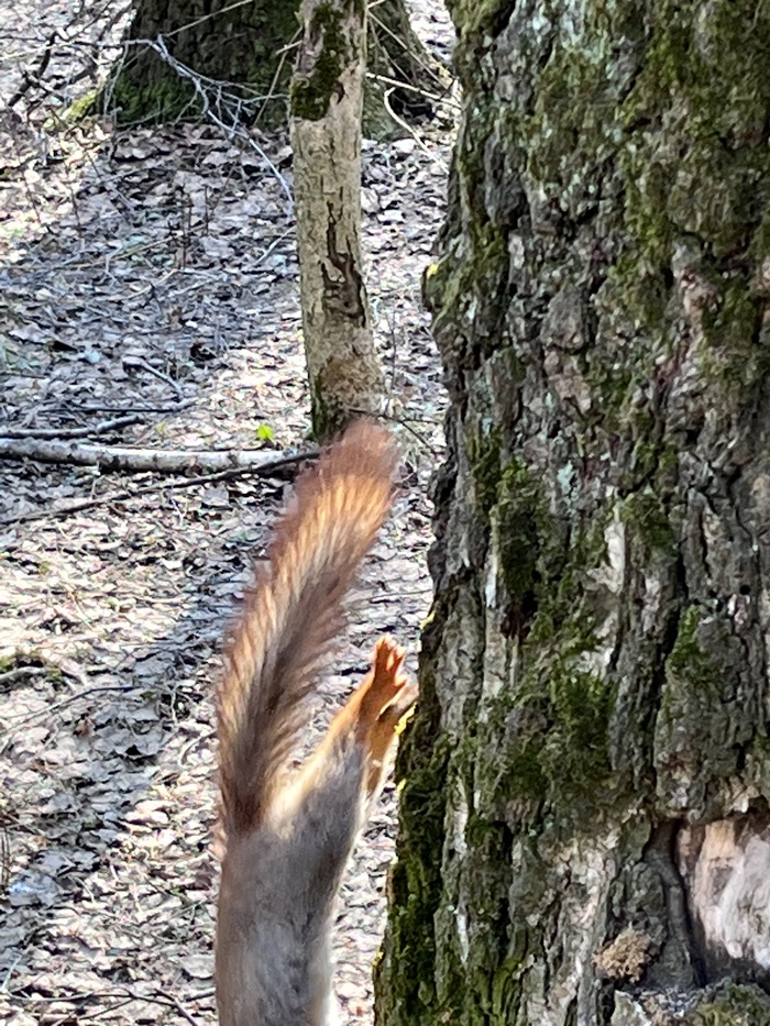 ����� �� ���� ���� ������ ���������� ������. � �� ��� ����, ����... ����-154 � ����� �����...�