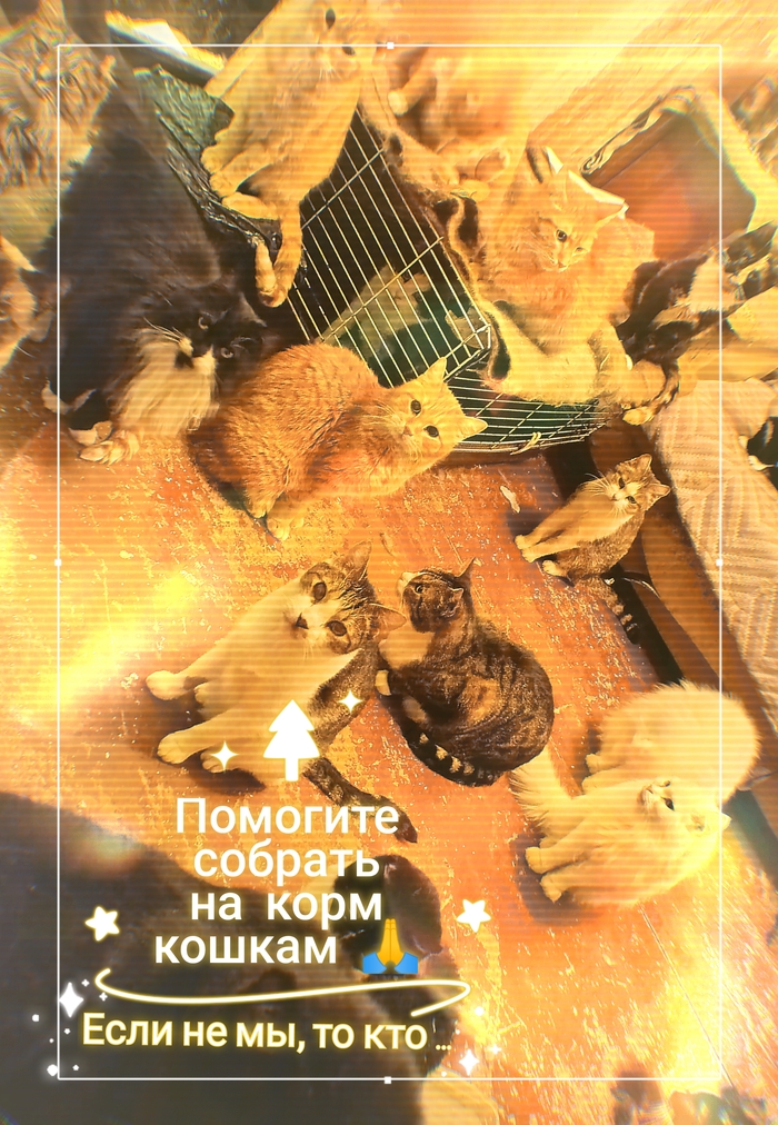 ���� �� ��, �� ���...