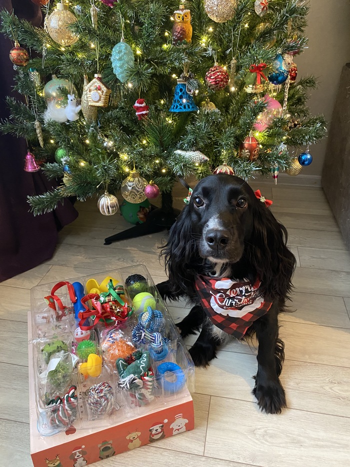 ������� ��� ��������� ���� ����� ����� � ���������� � ����� . ������� ������ �������� ��� ������� ������� ������ ��������� � ��� �������� � ��������� . 