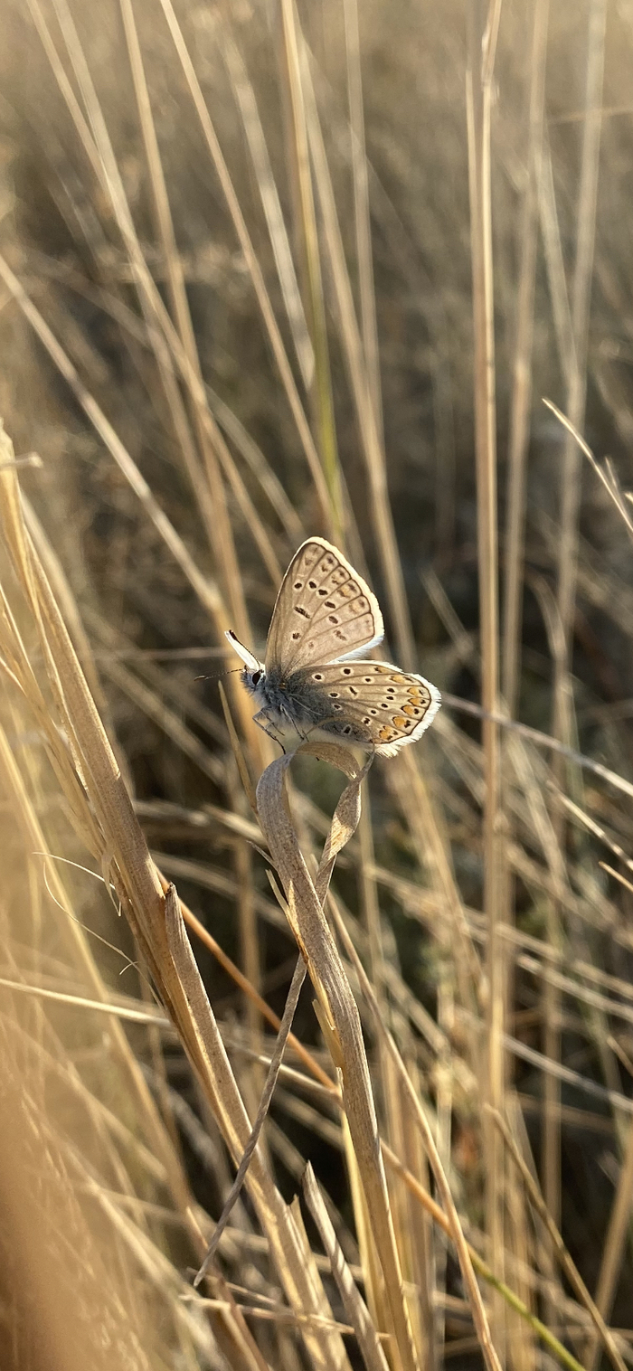 ����� �� ���� ���� ������ ���������� ������. � �� ��� ����, ����... ����-154 � ����� �����...�