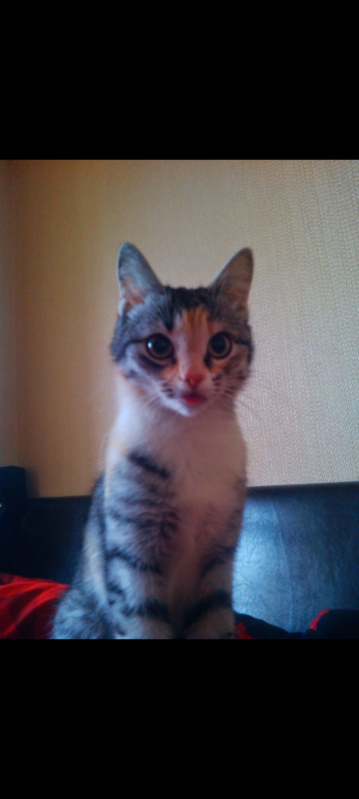 Прошу прощения за качество, фотографировал на пульт от телевизора