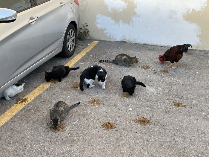 ����� �� ���� ���� ������ ���������� ������. � �� ��� ����, ����... ����-154 � ����� �����...�